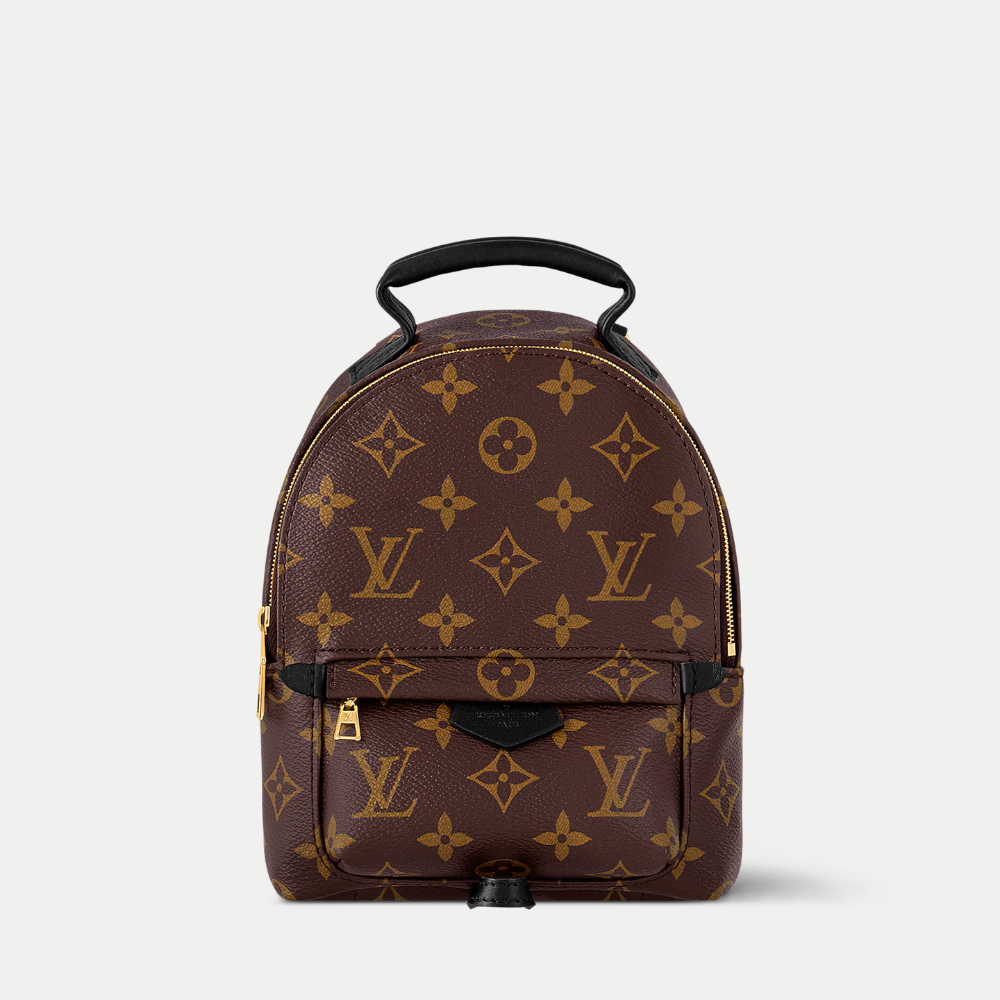 LV Palm Springs Mini Backpack - Brown