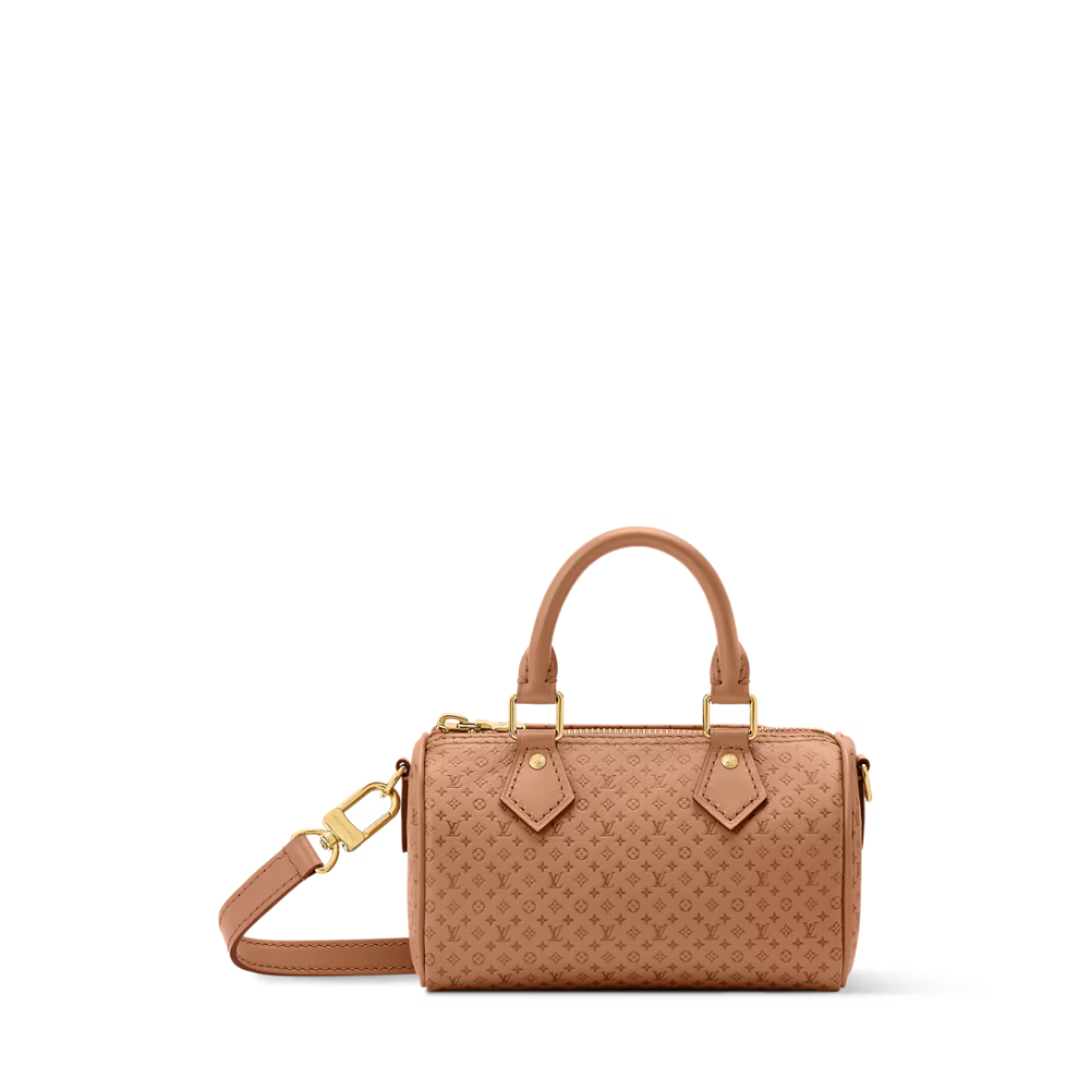 LV Signature Nano Speedy Handbag