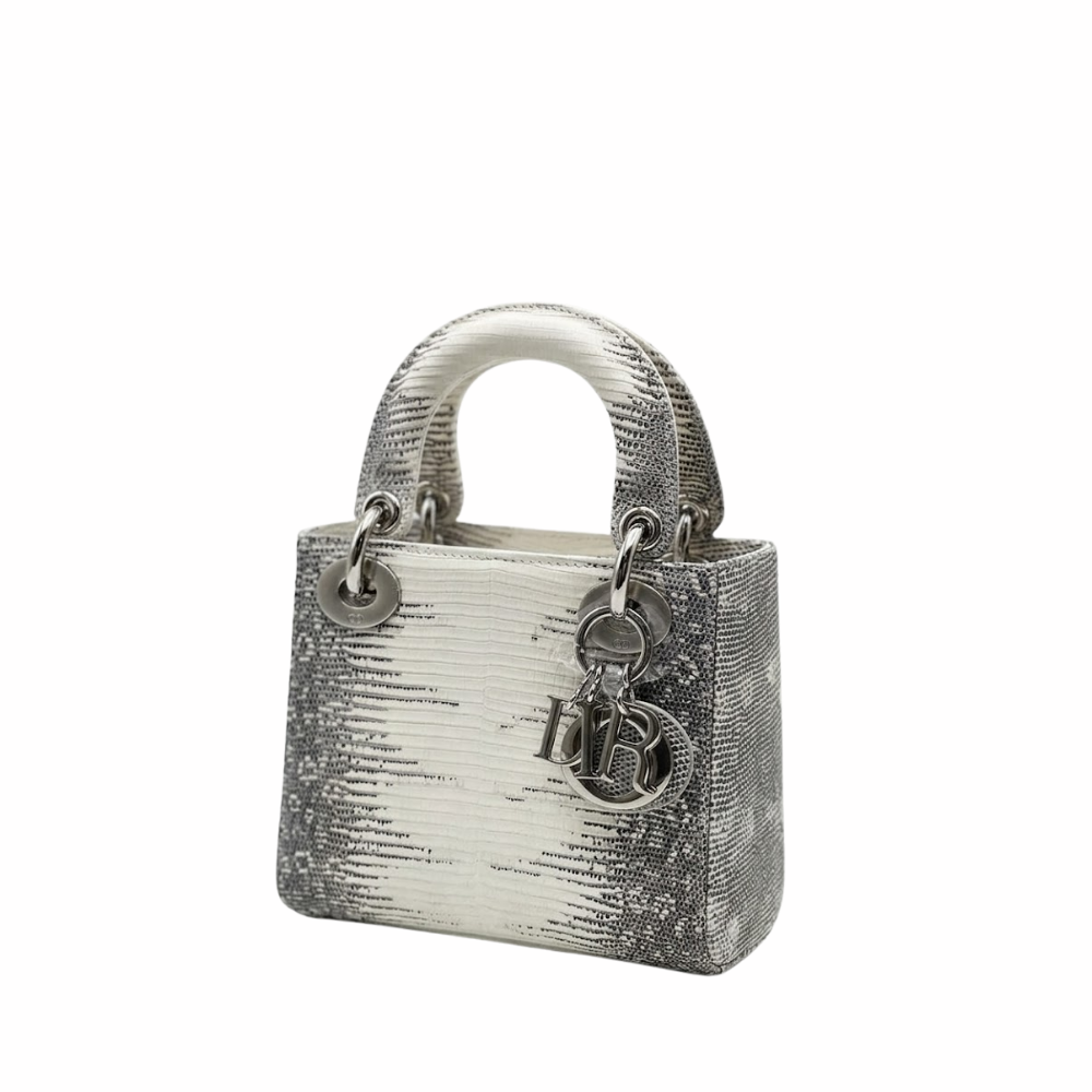 Dior Ombre Himalayan Lizard Small Shoulder Bag - White