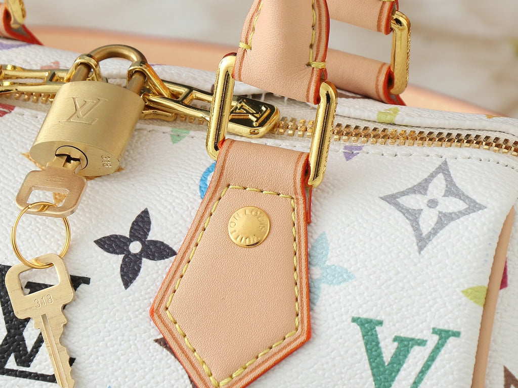 Louis Vuitton LV Speedy Bandouliere 20 Handbag