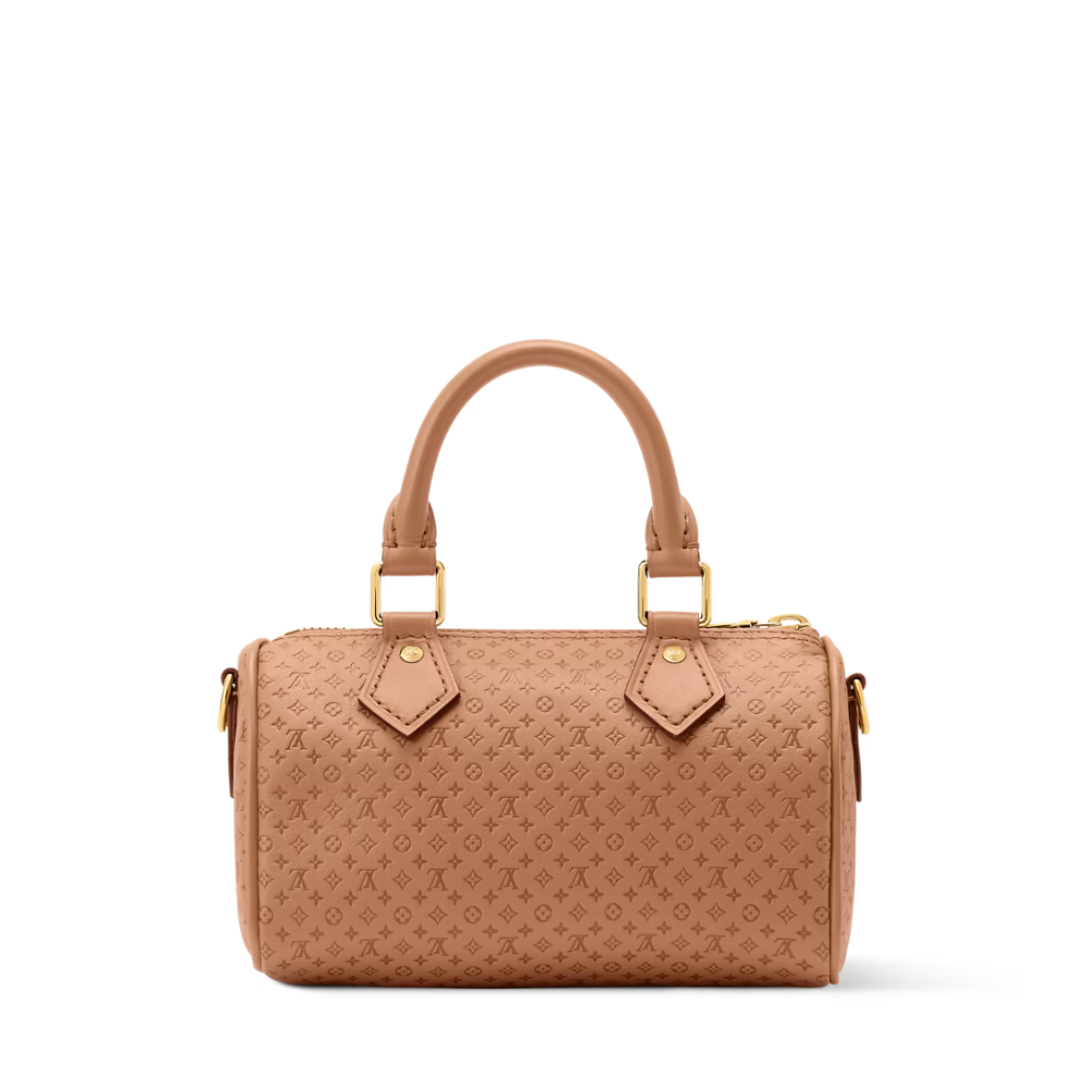 LV Signature Nano Speedy Handbag