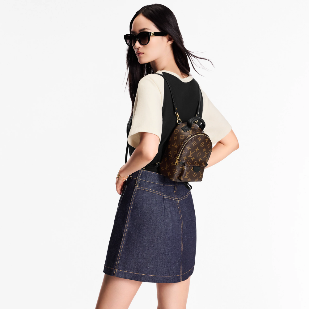LV Palm Springs Mini Backpack - Brown