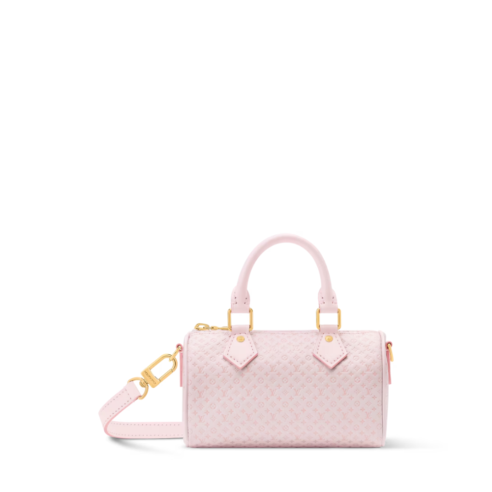 LV Signature Nano Speedy Handbag