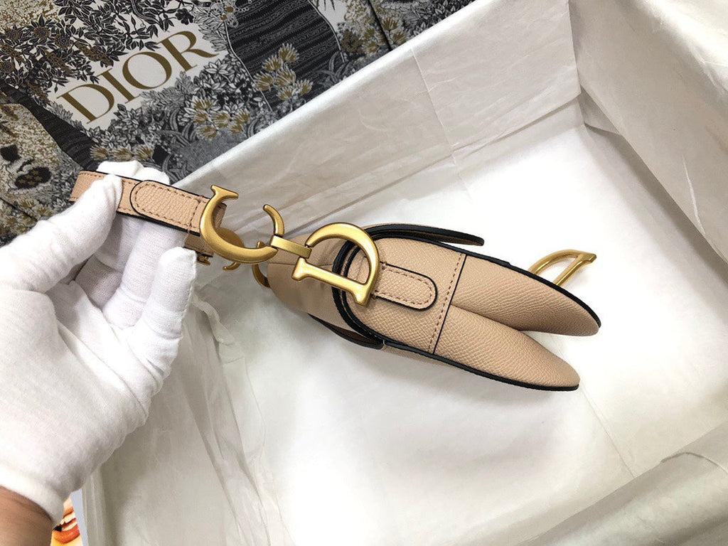 Dior Saddle Small Nude Color Saddle Bag