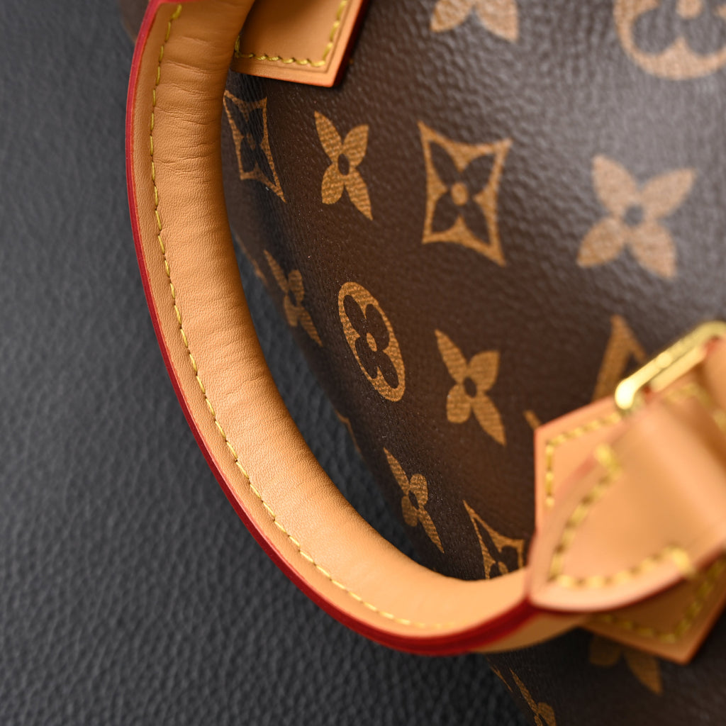 Louis Vuitton Speedy Bandoulière 25 Monogram Canvas Handbag
