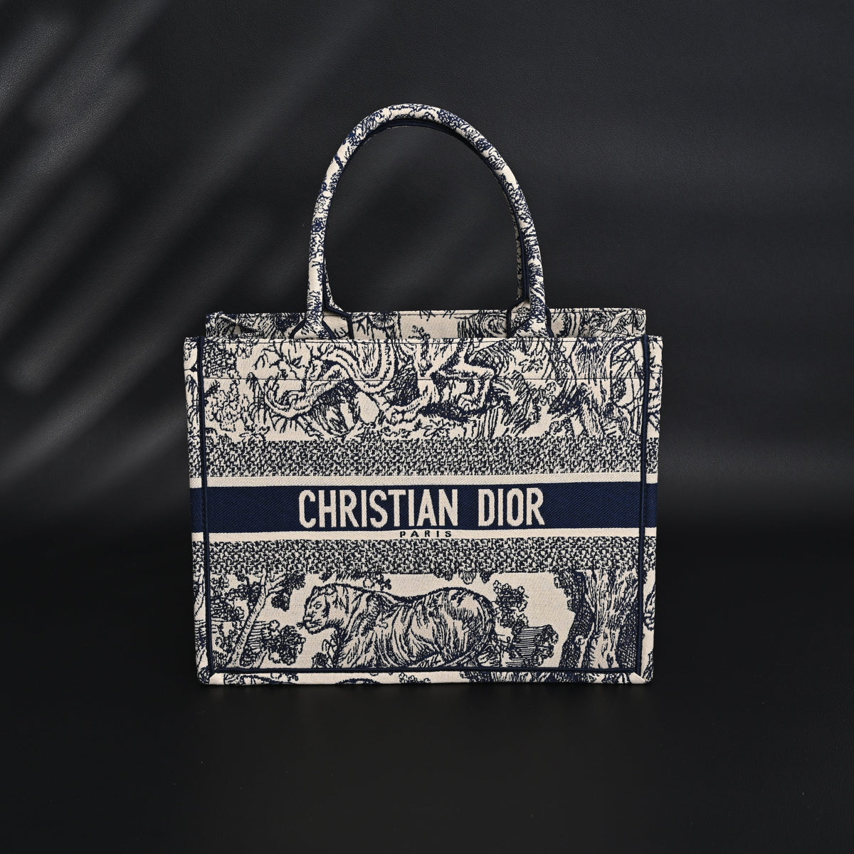Dior Book Tote Bag – Blue Toile De Jouy Embroidery - Blue with Toile De Jouy Pattern