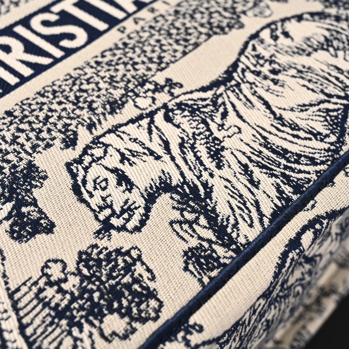 Dior Book Tote Bag – Blue Toile De Jouy Embroidery - Blue with Toile De Jouy Pattern