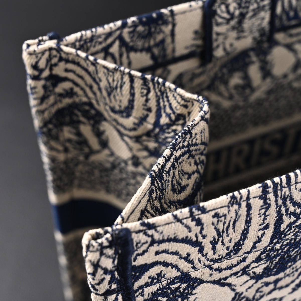 Dior Book Tote Bag – Blue Toile De Jouy Embroidery - Blue with Toile De Jouy Pattern