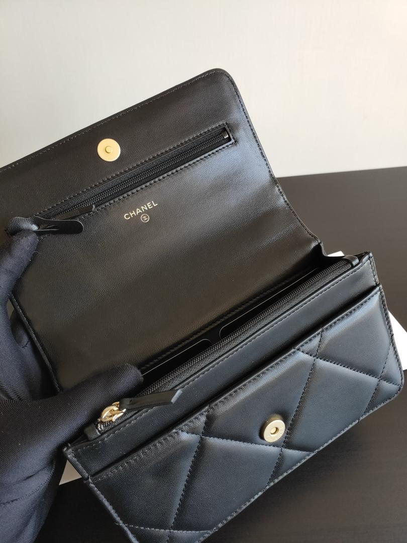 Chanel 19 Wallet On Chain WOC Bag