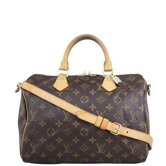 Louis Vuitton Monogram Speedy 30 Bag - Brown Monogram
