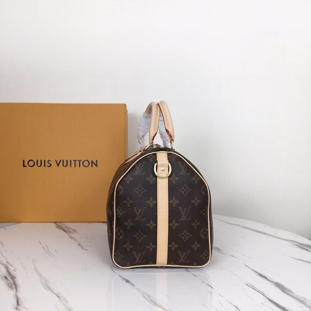 Louis Vuitton Monogram Speedy 30 Bag - Brown Monogram