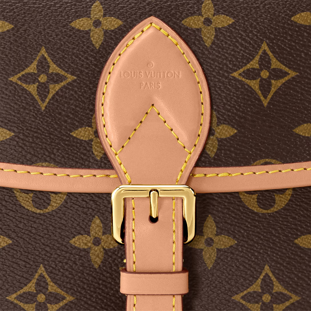LV Diane Satchel Bag